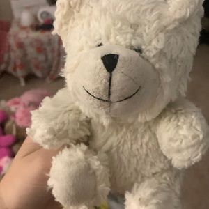 bear plush